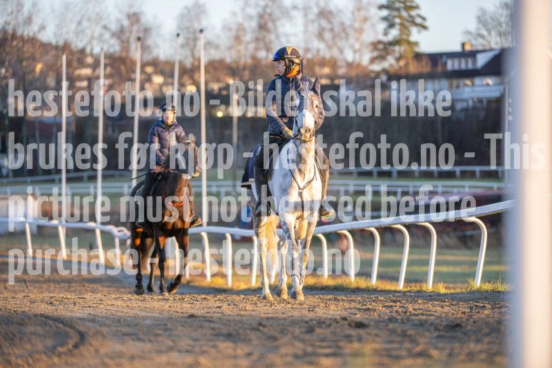 20251220-111658-DSC_2432