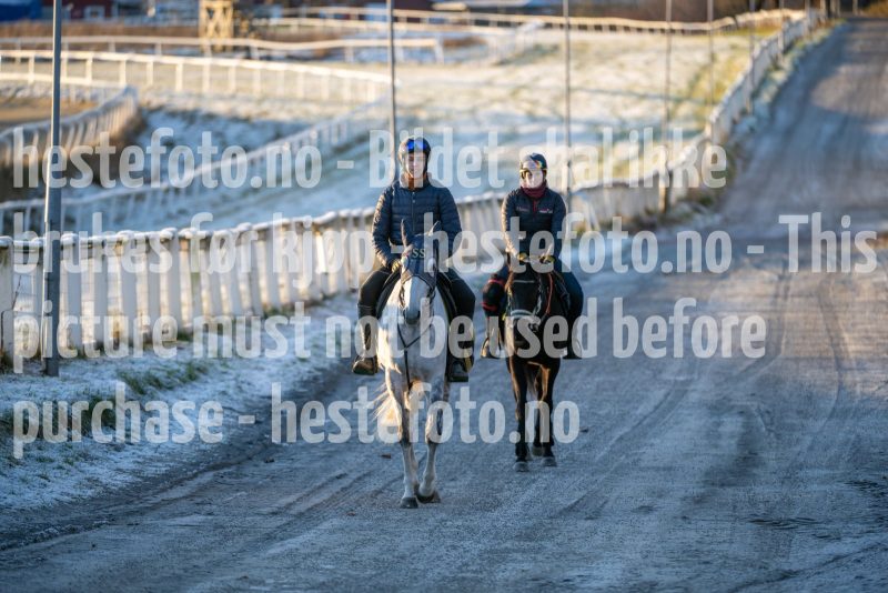 20251227-112611-DSC_5501