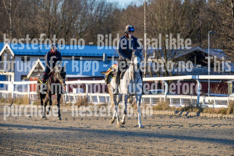 20251227-113413-DSC_5886