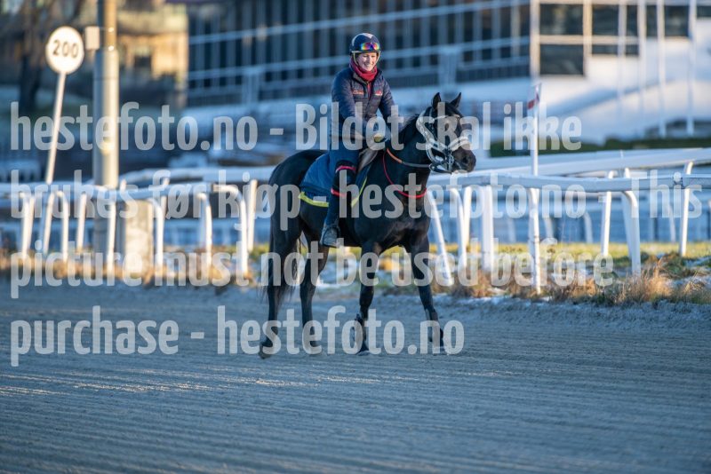 20251227-113737-DSC_6048