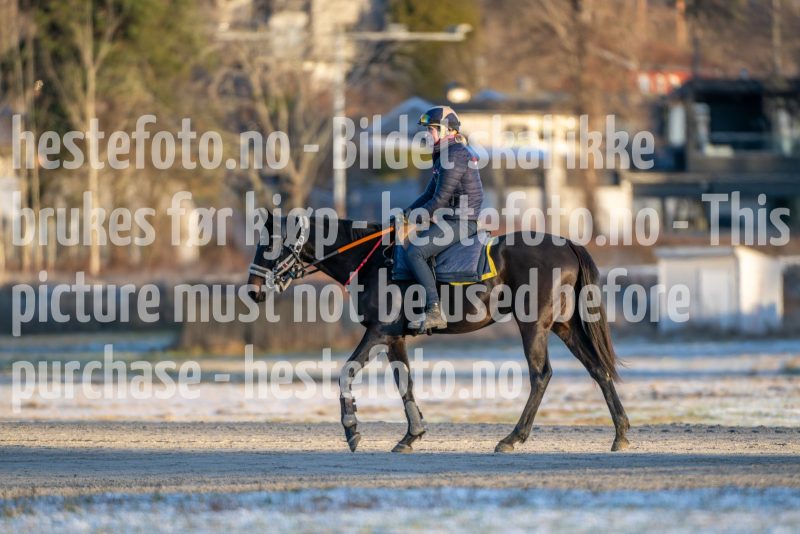 20251227-113846-DSC_6198