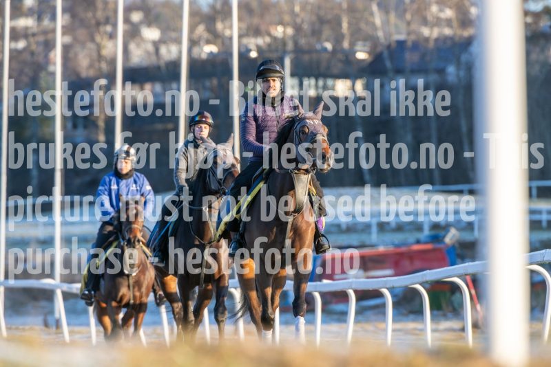 20251227-114305-DSC_6482