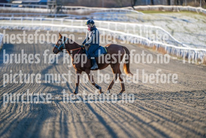 20251227-124010-DSC_6660