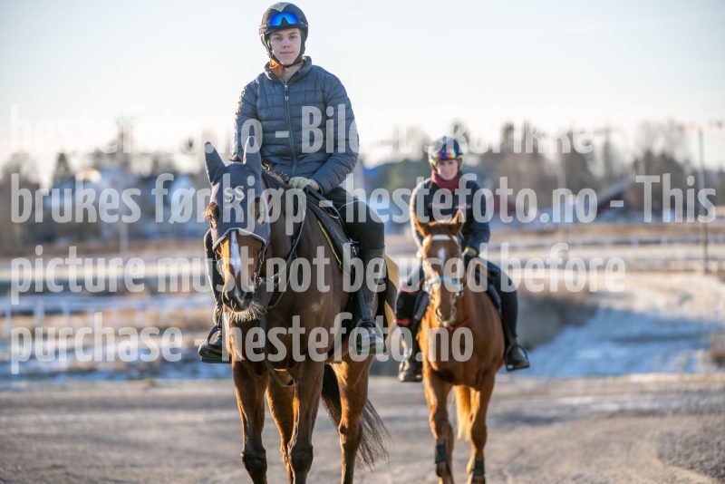 20251227-124052-DSC_6771