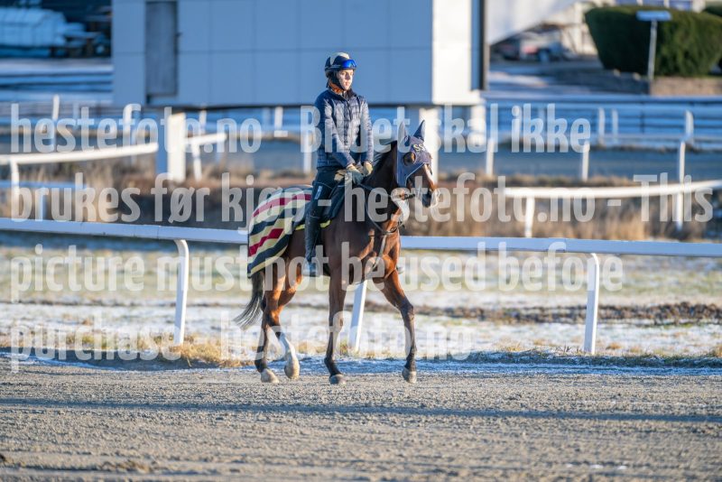 20251227-124506-DSC_6881