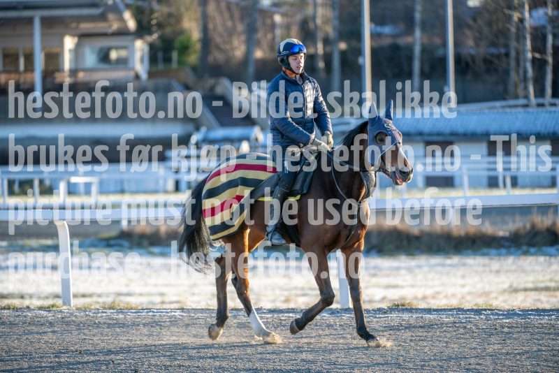 20251227-124519-DSC_6948