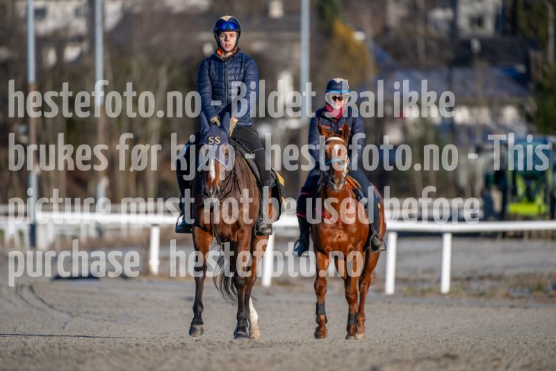 20251227-125327-DSC_7282