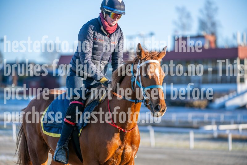 20251227-125209-DSC_7194