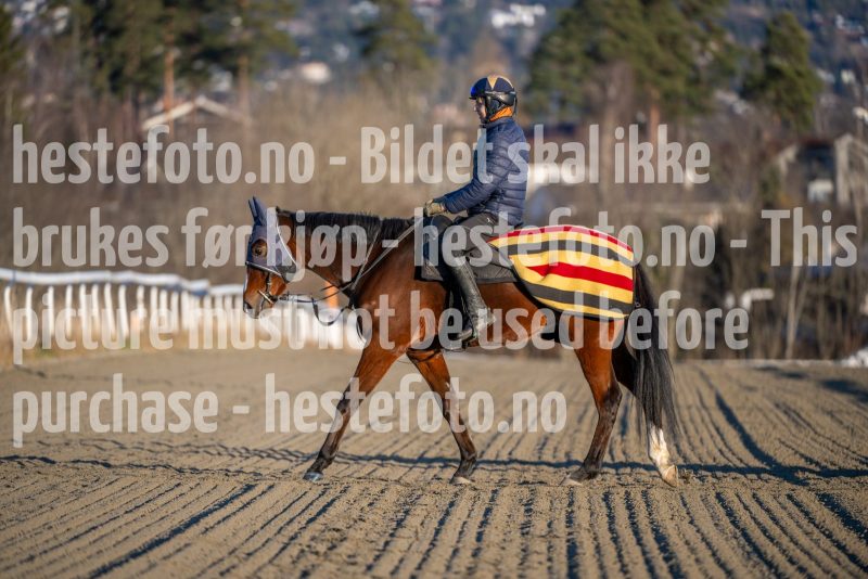 20251227-125806-DSC_7501