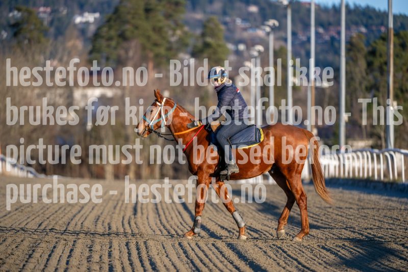 20251227-125809-DSC_7525