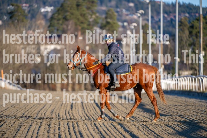 20251227-125809-DSC_7527