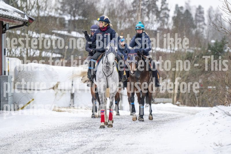 20260131-100307-DSC_0470