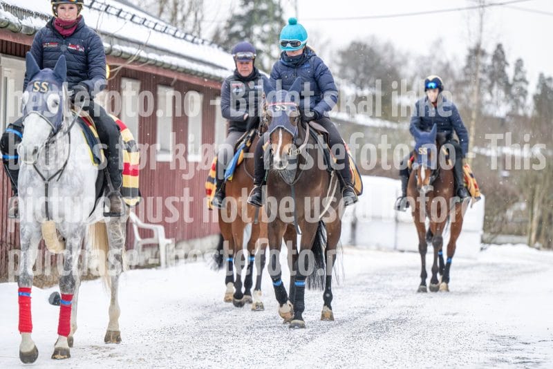 20260131-100317-DSC_0499