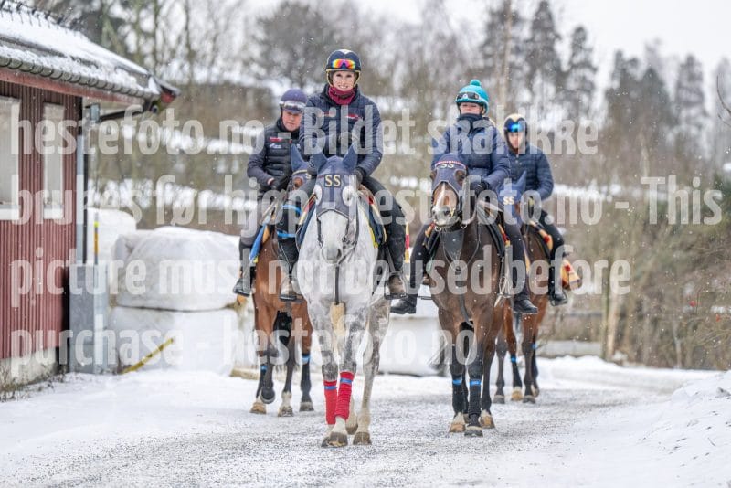 20260131-100310-DSC_0482