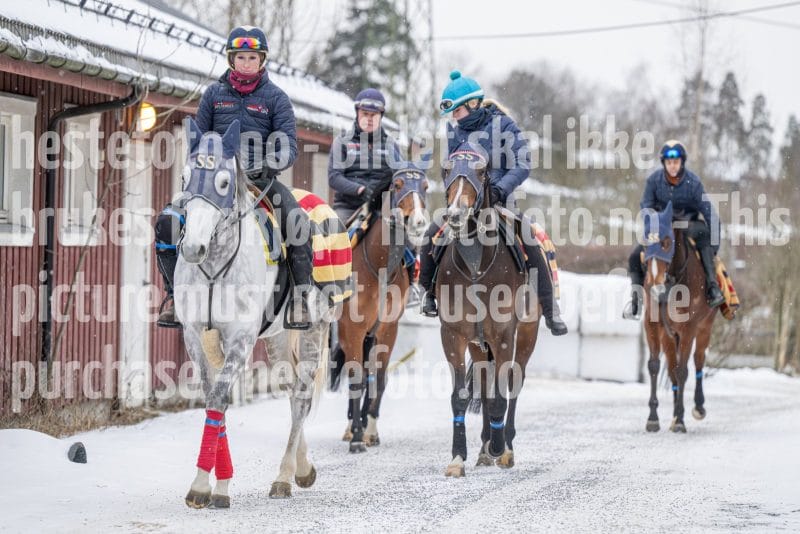 20260131-100316-DSC_0496