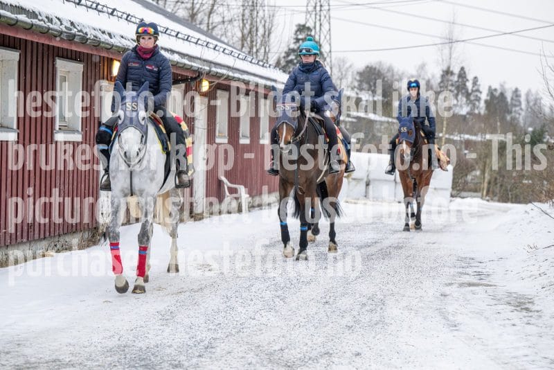 20260131-100319-DSC_0506