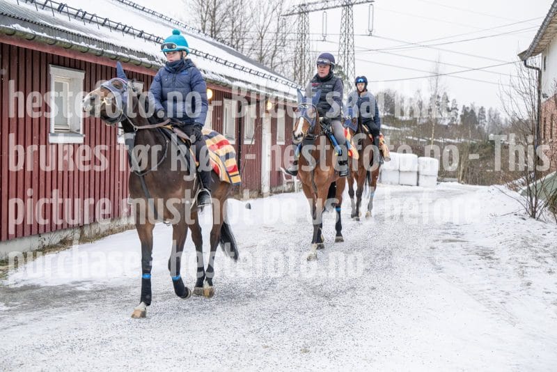 20260131-100324-DSC_0530