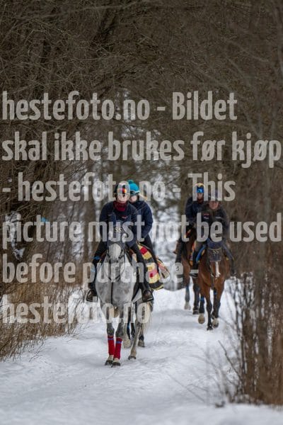 20260131-102606-DSC_0595