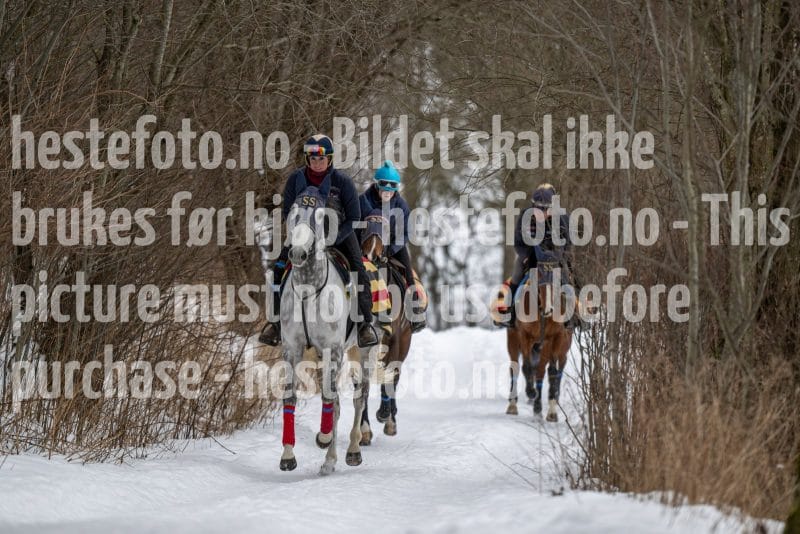 20260131-102608-DSC_0617