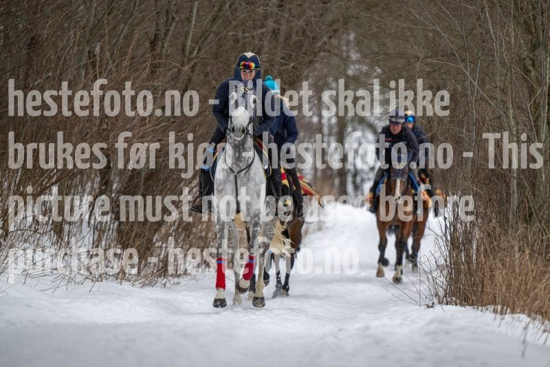 20260131-102609-DSC_0623