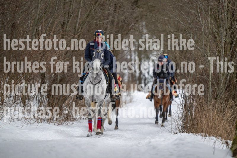 20260131-102610-DSC_0627