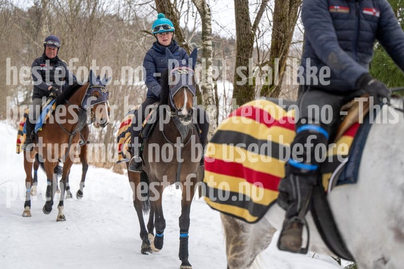 20260131-102619-DSC_0653