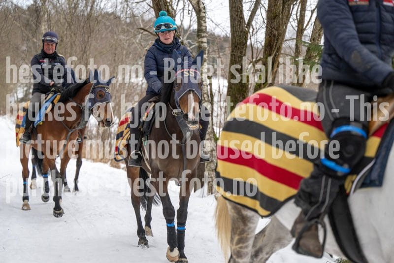 20260131-102619-DSC_0656