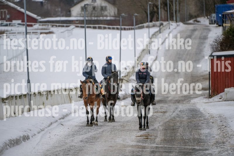 20260131-122905-DSC_0725