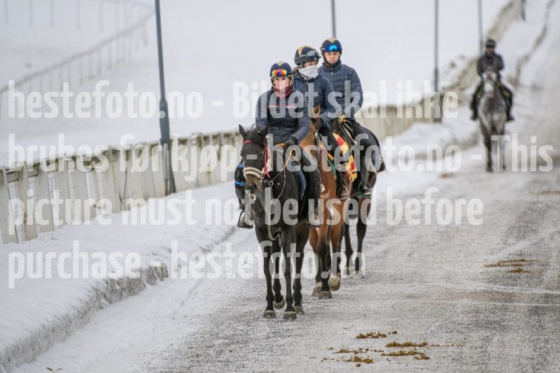 20260131-122917-DSC_0744