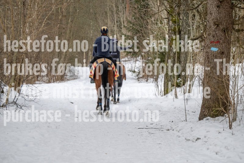 20260131-102646-DSC_0720