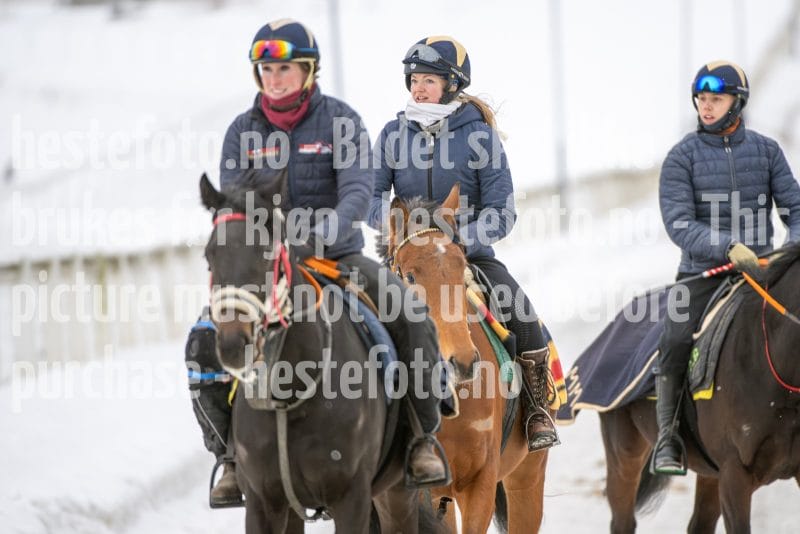 20260131-122944-DSC_0749