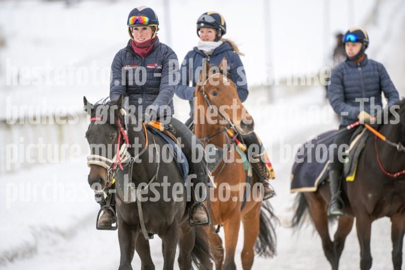 20260131-122944-DSC_0754