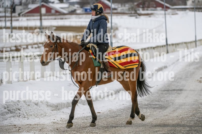 20260131-122951-DSC_0771