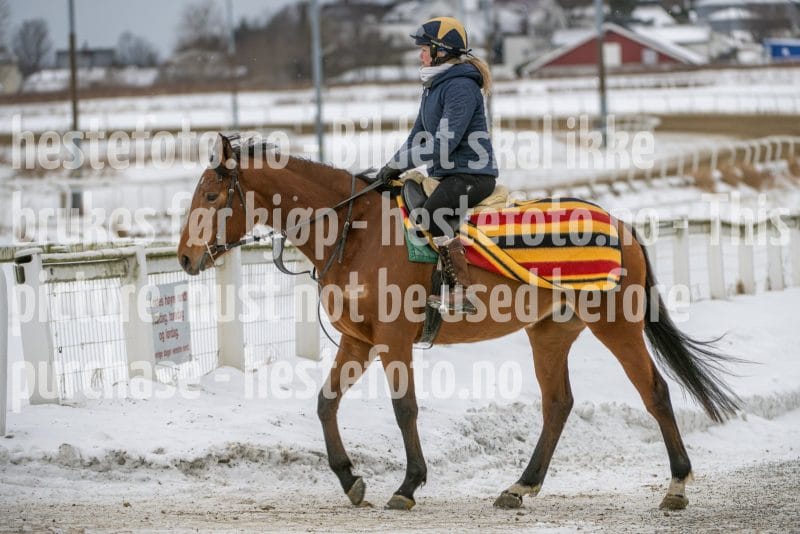 20260131-122953-DSC_0785