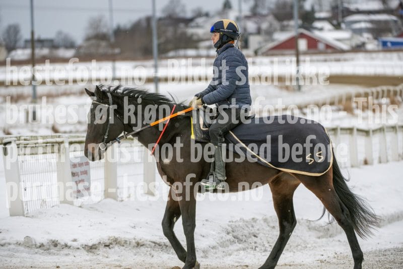 20260131-122957-DSC_0790