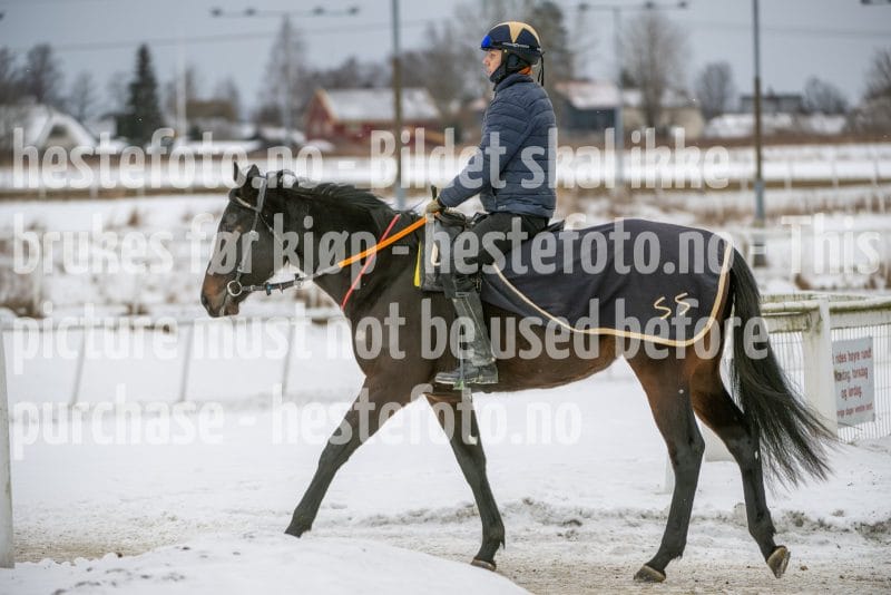 20260131-122959-DSC_0799