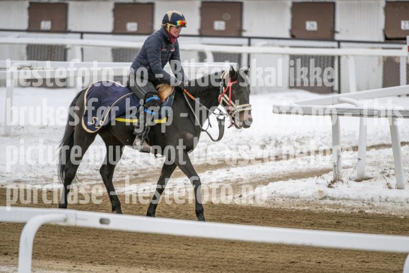 20260131-123433-DSC_0832