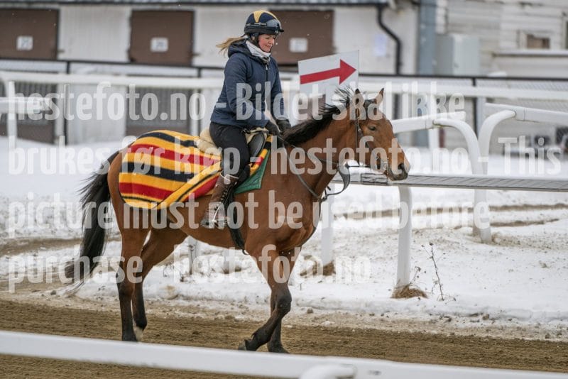 20260131-123436-DSC_0852