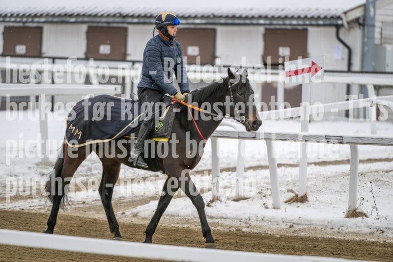 20260131-123438-DSC_0857