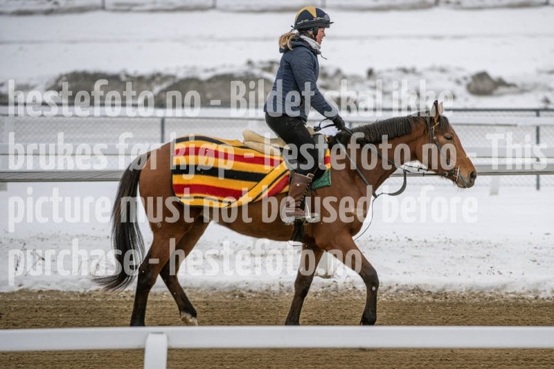 20260131-123446-DSC_0895