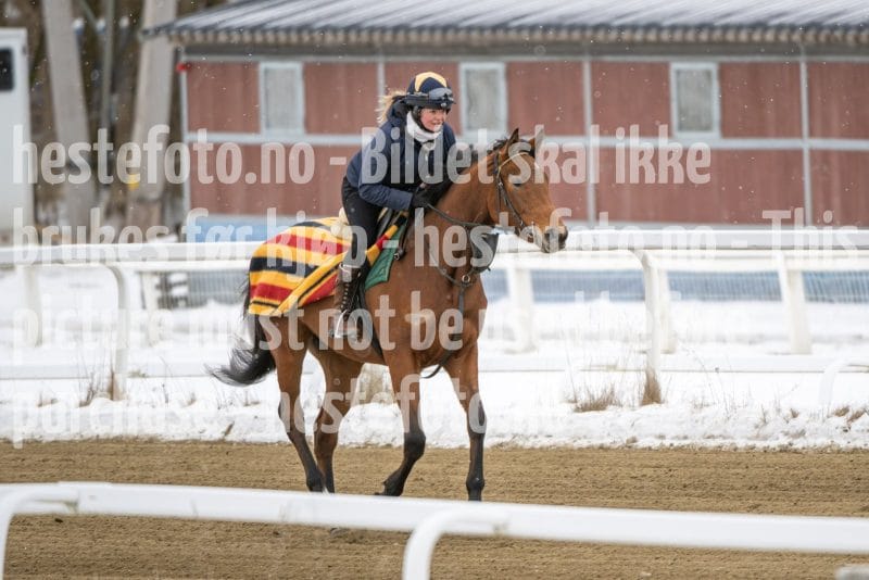 20260131-123759-DSC_0944