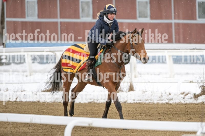 20260131-123759-DSC_0950