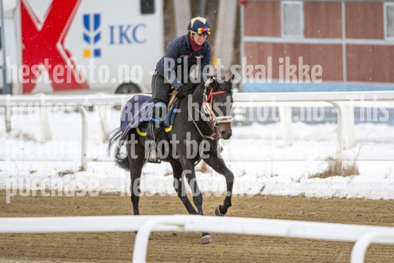 20260131-123801-DSC_0962