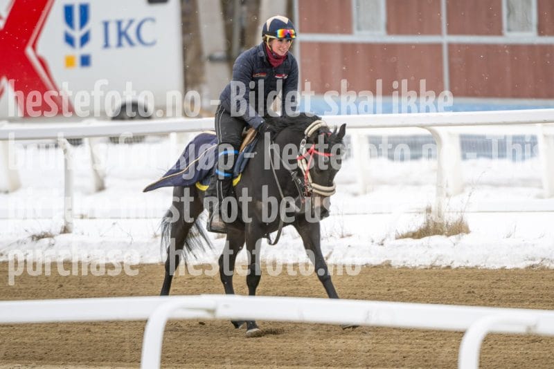 20260131-123801-DSC_0965