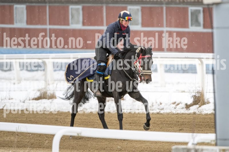 20260131-123802-DSC_0972