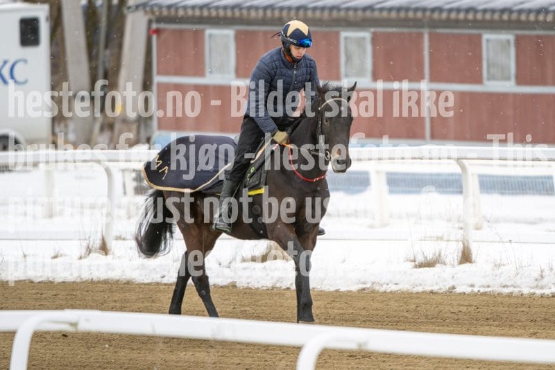 20260131-123804-DSC_0980