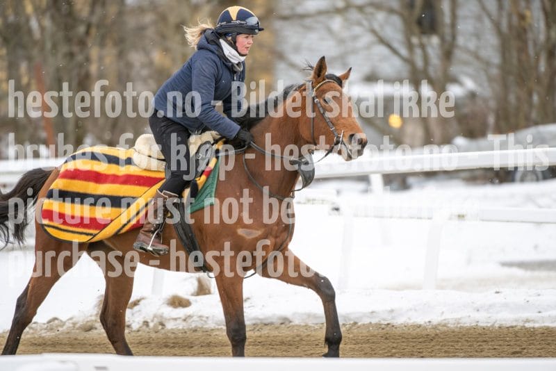 20260131-123807-DSC_1004