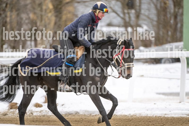 20260131-123810-DSC_1031