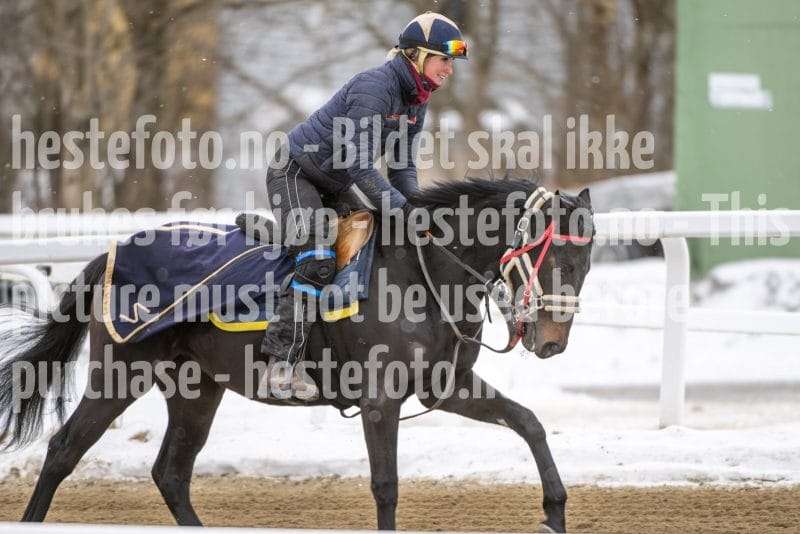 20260131-123810-DSC_1033