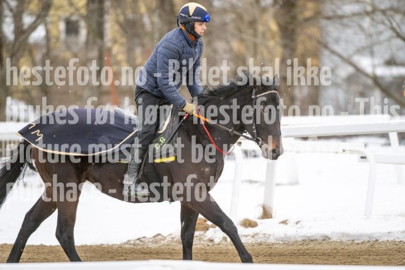 20260131-123812-DSC_1046